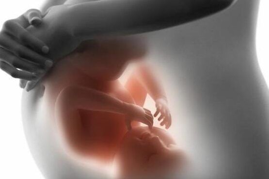 un bebe en el vientre