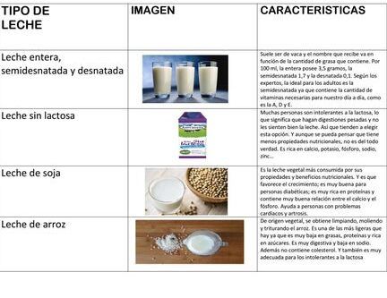 comparacion lactosa y proteina leche